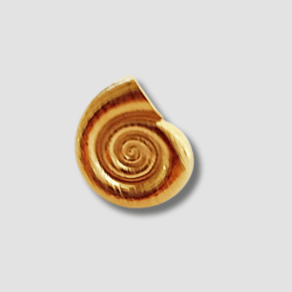 Descubre la elegancia del Anillo Shell Espiral Acero. Con un diseño exclusivo en forma de espiral, este anillo te brinda un toque distinguido y sofisticado.
Hecho de acero, es duradero y resistente, lo que lo convierte en una pieza de joyería de alta calidad para añadir a tu colección.