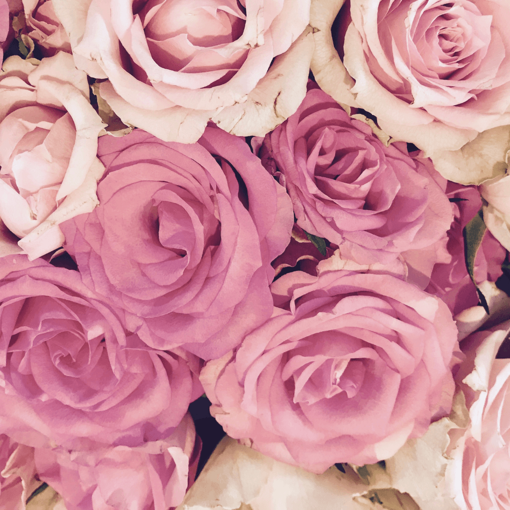 Joyas de tendencia al mejor precio · Compra fácil · Pago seguro