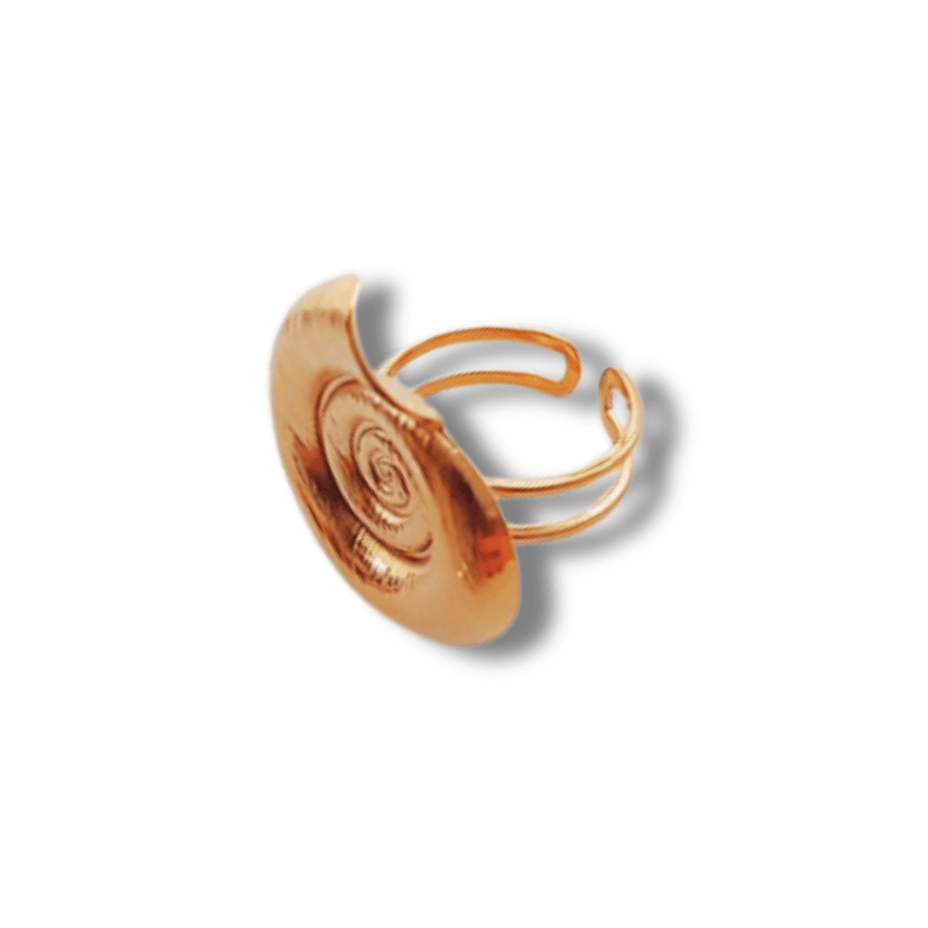 Descubre la elegancia del Anillo Shell Espiral Acero. Con un diseño exclusivo en forma de espiral, este anillo te brinda un toque distinguido y sofisticado. 

Hecho de acero, es duradero y resistente, lo que lo convierte en una pieza de joyería de alta calidad para añadir a tu colección.