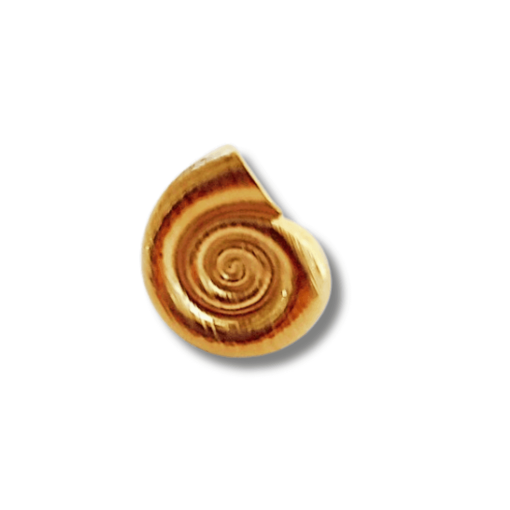 Descubre la elegancia del Anillo Shell Espiral Acero. Con un diseño exclusivo en forma de espiral, este anillo te brinda un toque distinguido y sofisticado. 

Hecho de acero, es duradero y resistente, lo que lo convierte en una pieza de joyería de alta calidad para añadir a tu colección.