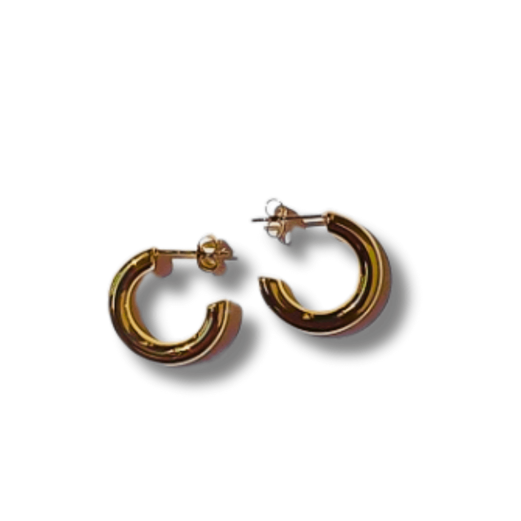 Imagen pendientes aro  23mm espesor 4mm fondo blanco intenso